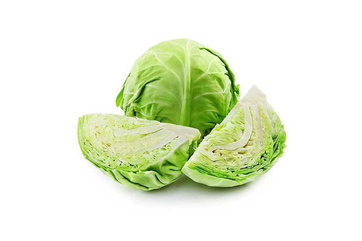 Kapusta biela